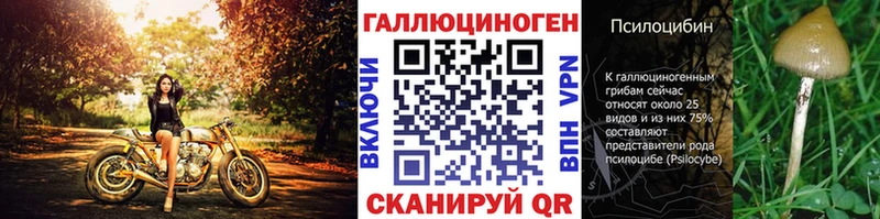 Галлюциногенные грибы мухоморы  Купить закладки  Ессентукская 