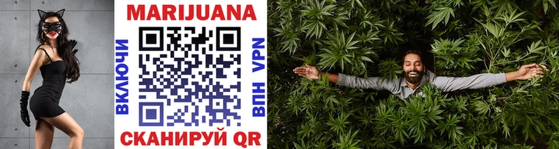 Конопля OG Kush  Купить закладки  Ессентукская 